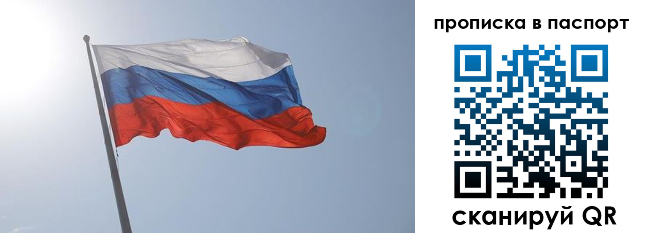 прописка для школы в Суворове
